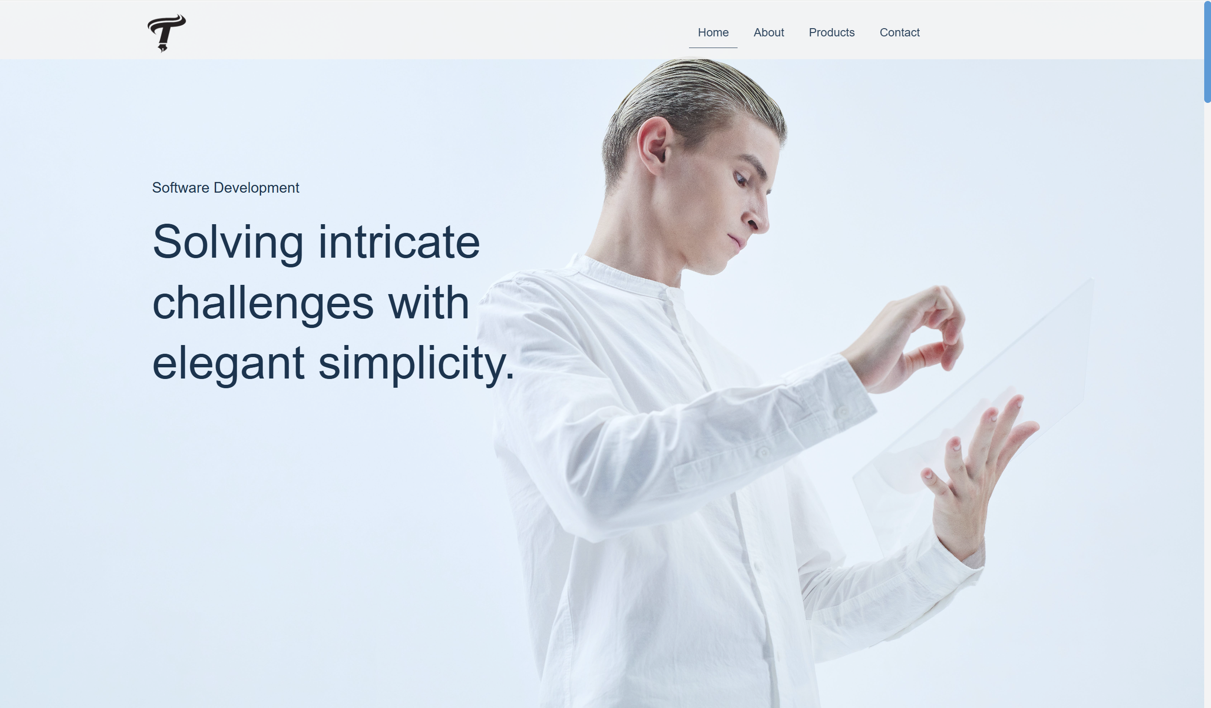 Tofii.net Preview